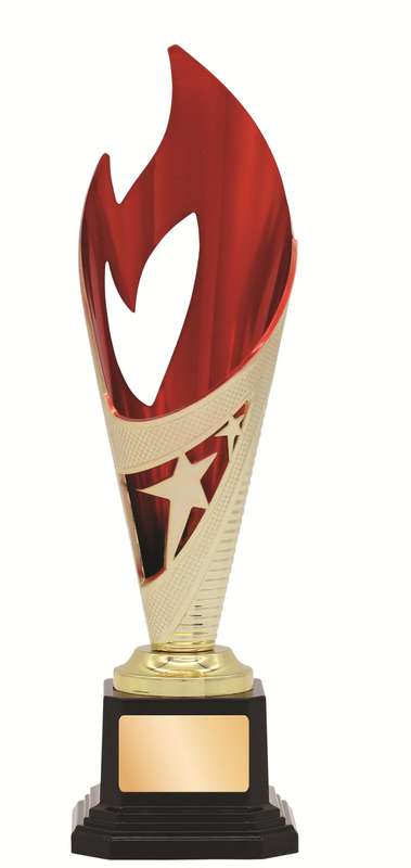 General Awards – 250mm – Gold/Red