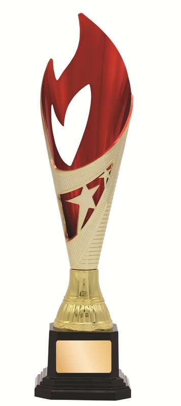 General Awards – 280mm – Gold/Red