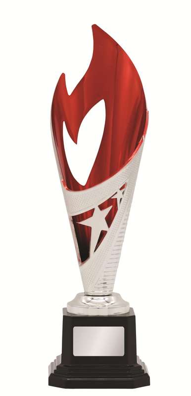 General Awards – 250mm – Red/Silver