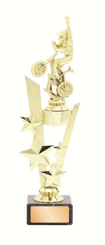 General Awards – 295mm