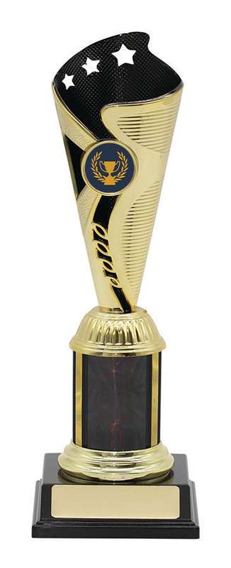 General Awards – 240mm – Gold/Black