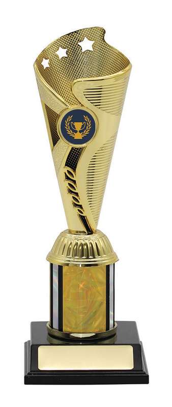 General Awards – 230mm – Gold