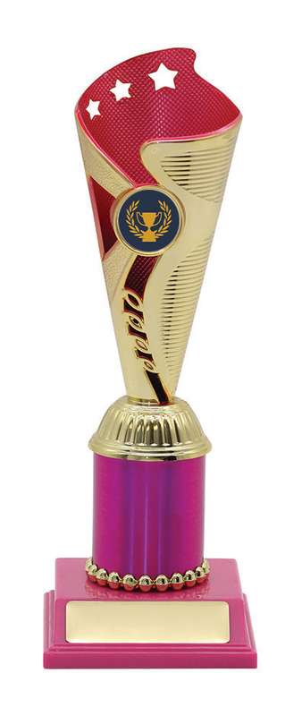 General Awards – 230mm – Gold/Pink