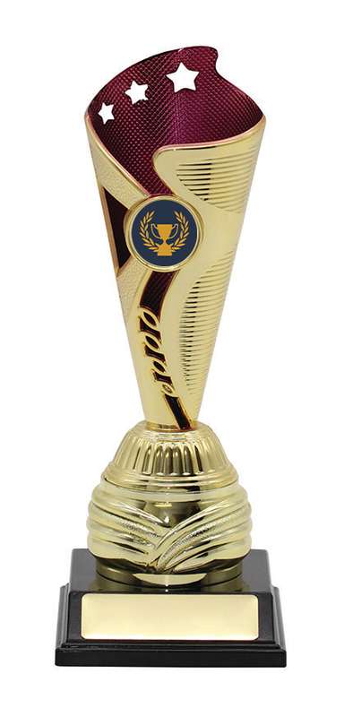 General Awards- 210mm – Gold/Purple