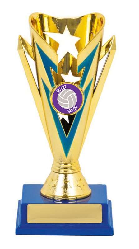 Netball Sport Trophy – 25mm Insert