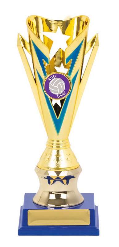 Netball Sport Trophy – 25mm Insert