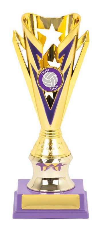 Netball Sport Trophy – 25mm Insert
