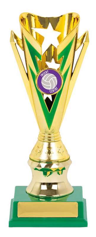 Netball Sport Trophy – 25mm Insert