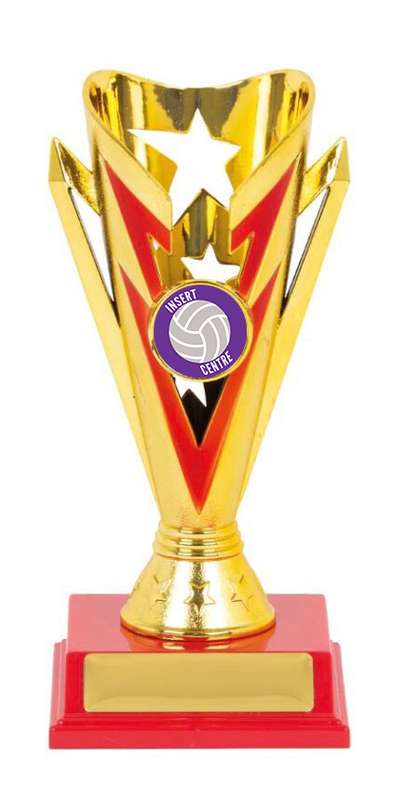 Netball Sport Trophy – 25mm Insert