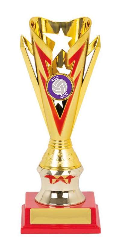 Netball Sport Trophy – 25mm Insert