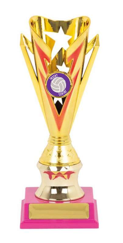 Netball Sport Trophy – 25mm Insert