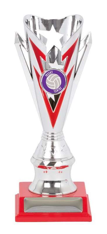 Netball Sport Trophy – 25mm Insert