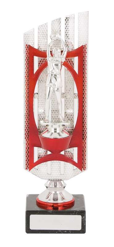 Netball Sport Trophy – 25mm Insert