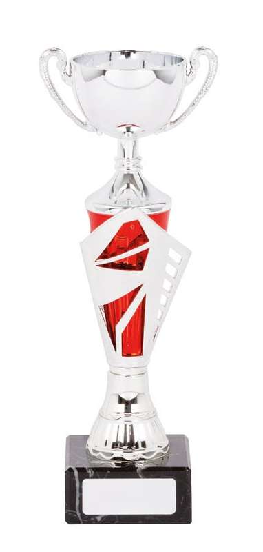 Netball Cup Trophy