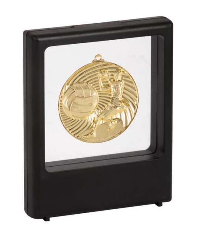 Netball Medal Award