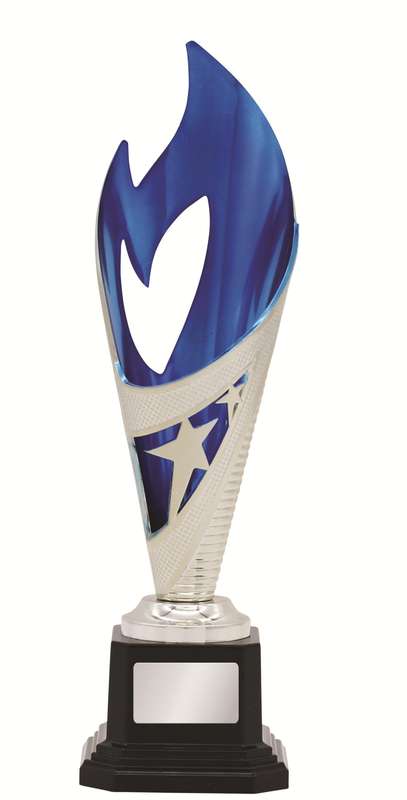 General Awards – 250mm – Silver/Blue