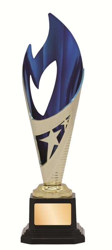 General Awards – 250mm – Gold/Blue