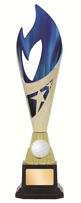 General Awards – 285mm – Gold/Blue