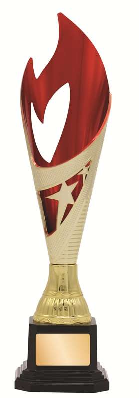 General Awards – 280mm – Gold/Red