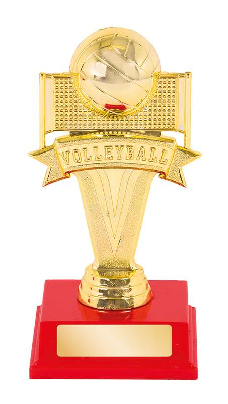 Volleyball Trophy