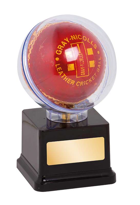 Cricket Ball Holder