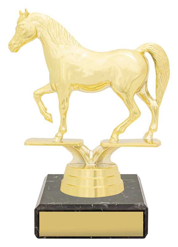 Figure Trophy – Arabian