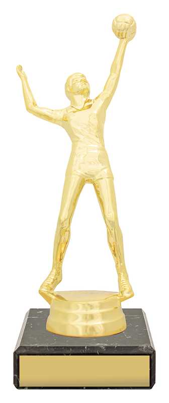 Figure Trophy – Male Volleyball