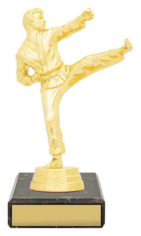 Figure Trophy – Male Karate