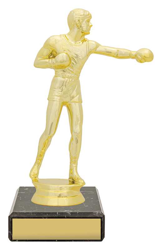 Figure Trophy – Boxing